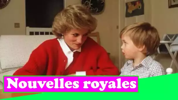 Diana ne pourrait `` jamais se réconcilier '' avec William pour un passe-temps qu'elle `` désapprouv