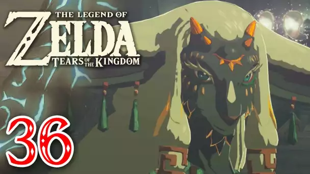 Zelda Tears of the Kingdom #36 | Les pierres occultes