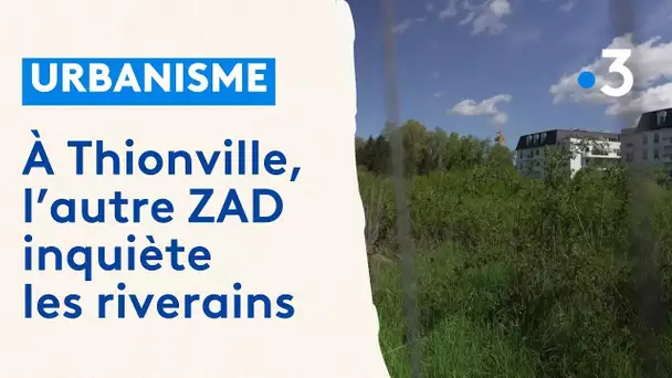 Urbanisme : à Thionville, l'autre ZAD inquiète les riverains