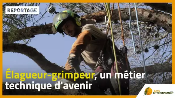 Élagueur-grimpeur, un métier qui demande du professionnalisme.