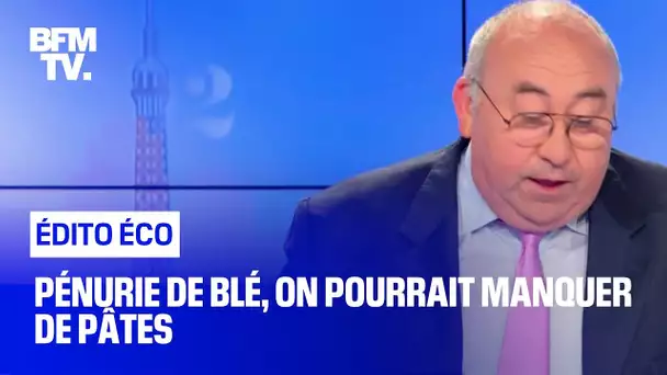 Pénurie de blé, on pourrait manquer de pâtes