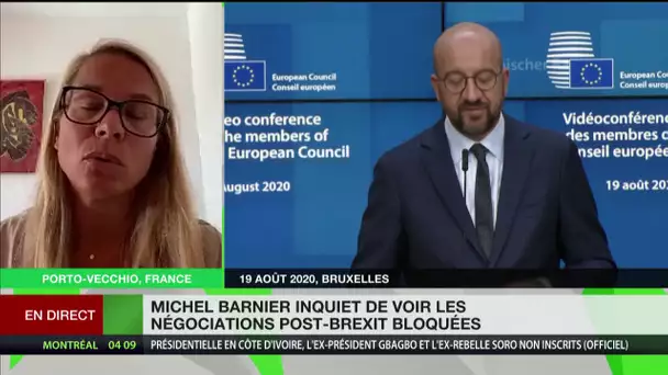 Négociations entre le Royaume-Uni et l’UE : «On va vers un non-accord», selon Virginie Joron
