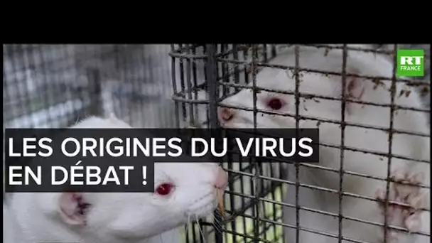 Interdit d'interdire - Les origines du virus en débat !
