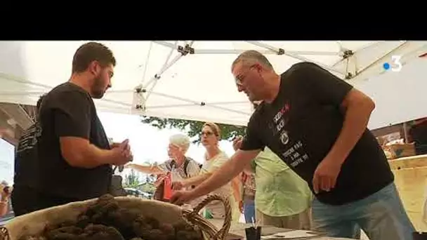 La saison de la truffe d&#039;été est lancée à Aups dans le Var