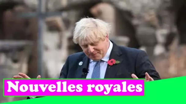 Boris Johnson fait le point sur la santé de la reine et dit que le monarque est en "très bonne forme
