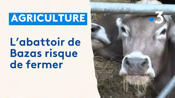 Des éleveurs risquent de perdre leur travail