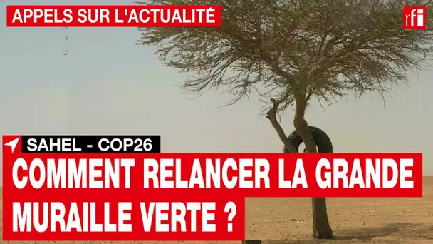 Sahel - COP26 : où en est le projet de la Grande muraille verte ? • RFI