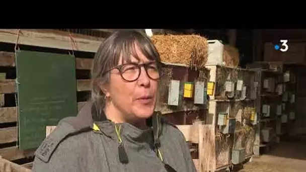 VIDEO. Isère : le Bercail Paysan un jeune agriculteur ouvre sa ferme à des adultes handicapés