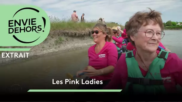 Le combat des Pink Ladies [extrait]