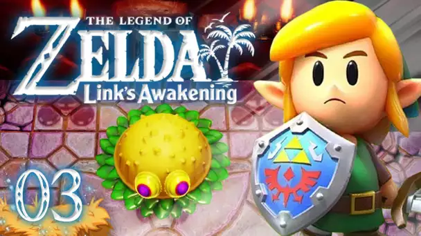 Zelda Link's Awakening HD : La caverne Flagello ! #03