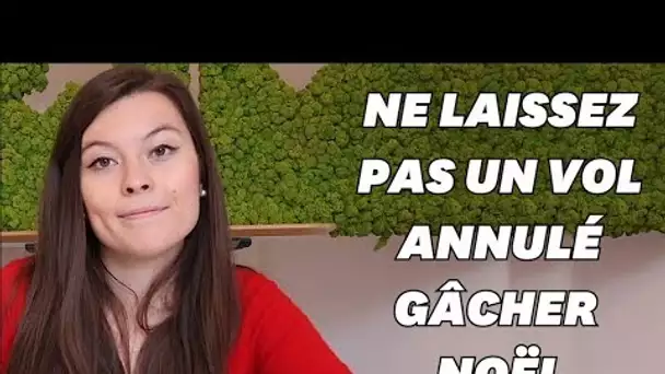 Mes 5 conseils en cas de vol retardé ou annulé pour Noël