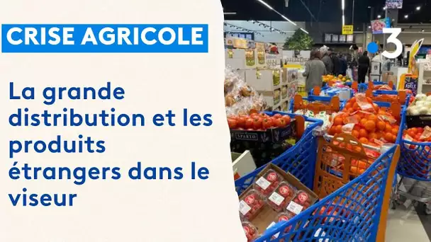 Colère des agriculteurs : action coup de poing dans un supermarché contre les produits étrangers