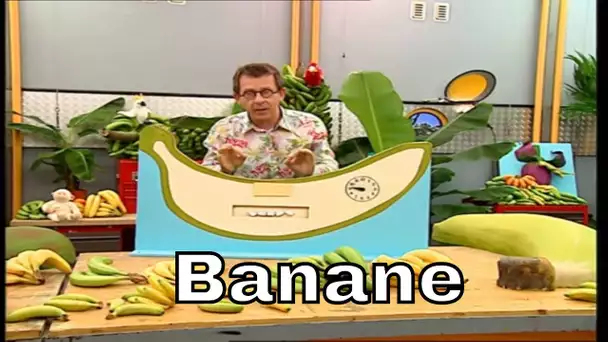 Comment la banane mûrit-elle ? - C'est Pas Sorcier