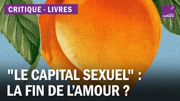 "Le Capital sexuel" : un nouvel éclairage sur les inégalités ?