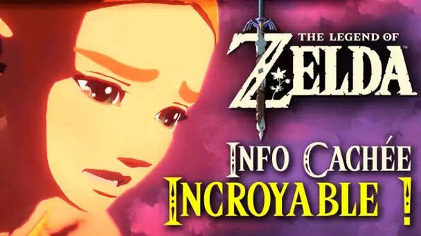 ZELDA : UNE INCROYABLE INFO SECRÈTE DÉCOUVERTE ! ✨