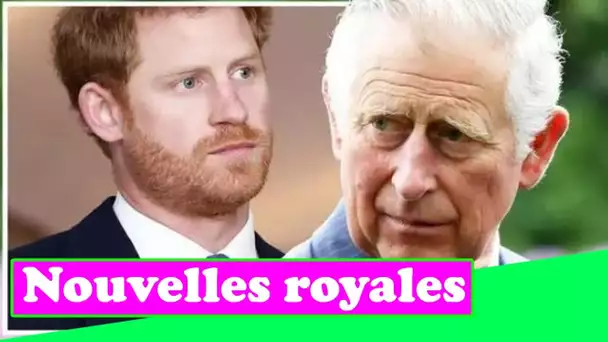 Le prince Harry a `` dépassé le cap '' avec la dernière attaque contre la famille royale et le princ