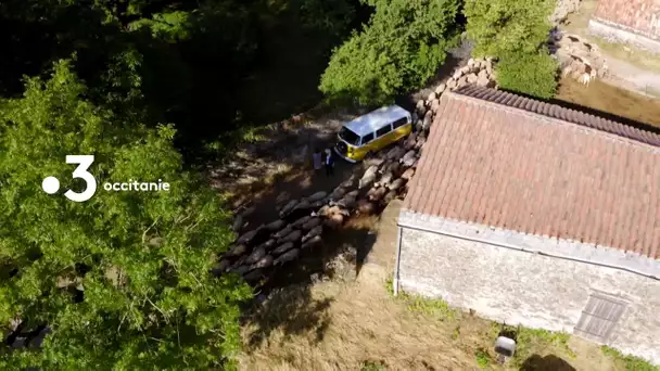 La nouvelle émission "Ô la belle vie" débute dans le Larzac