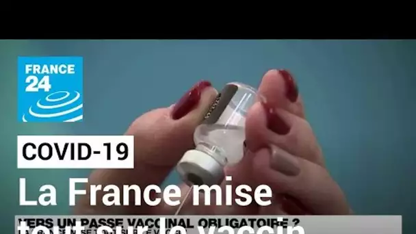 Covid-19 : la France mise tout sur le vaccin • FRANCE 24