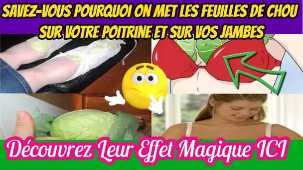 Savez-Vous Pourquoi On Met Les Feuilles De Chou Sur Votre Poitrine Et Sur Vos Jambe Découvrez Le ICI