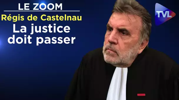 Face à l’incurie du gouvernement, la justice doit passer - Le Zoom - Régis de Castelnau - TVL