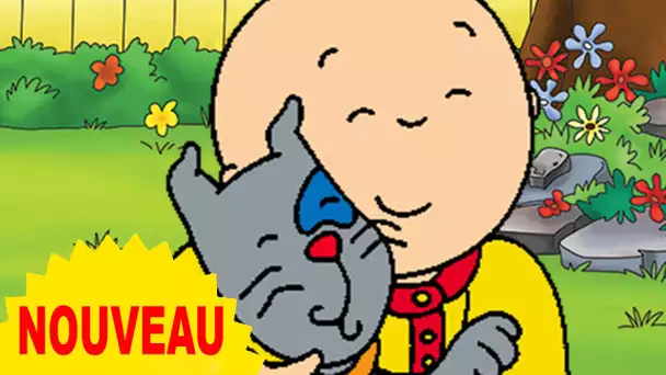 Caillou en Français | Où  est Gilbert? | conte pour enfant | dessin animé en entier | NOUVEL ÉPISODE