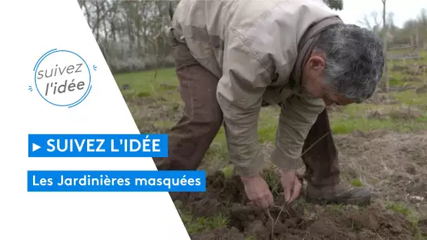 À Tours, découvrez les Jardinières masquées une initiative qui végétalisent la ville