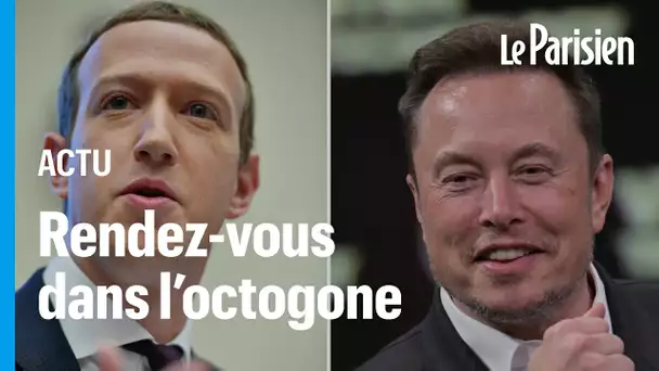 Mark Zuckerberg et Elon Musk vraiment prêts à s'afronter dans un octogone ?