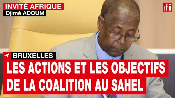 Tchad, Mali : « Les transitions qui vont au-delà des délais prévus posent des problèmes » • RFI