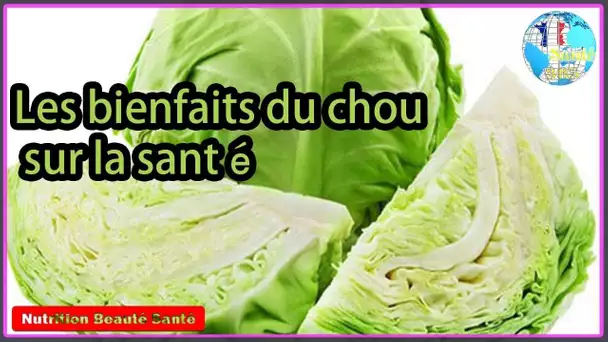 Les bienfaits du chou sur la santé|Nutrition Beauté Santé