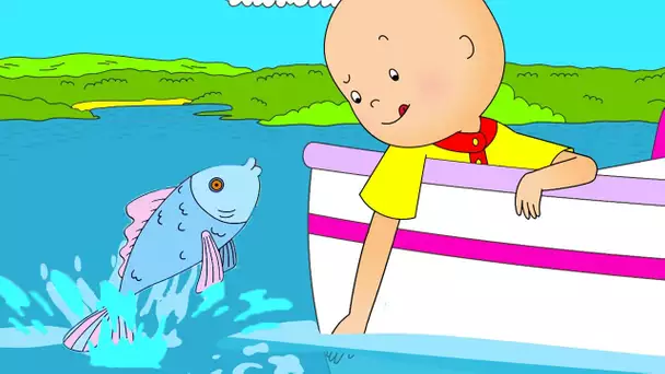 Caillou en Français | Caillou et le Bébé Requin | dessin animé | dessin animé pour bébé | NOUVEAU