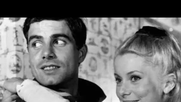 Mort de Nino Castelnuovo, acteur des Parapluies de Cherbourg avec Catherine Deneuve, à...