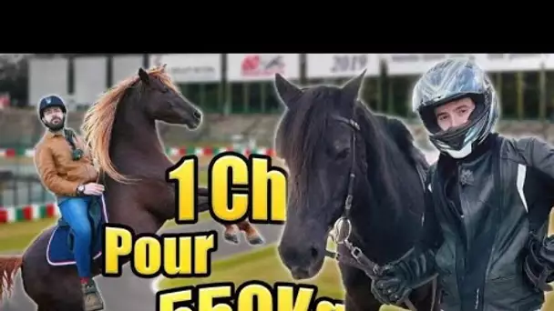 Essai Cheval compétition 2006 : Le cheval c'est trop génial (c'est archi faux)