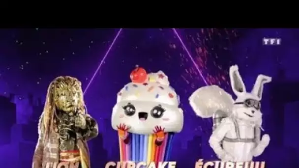 Mask Singer  cette amende salée que la costumière de l'émission risque de payer