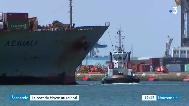 Déconfinement : le port du Havre s'adapte