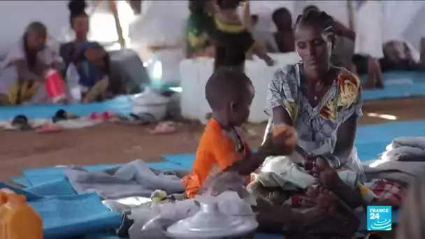 Conflit au Tigré en Éthiopie : le calvaire des réfugiées enceintes