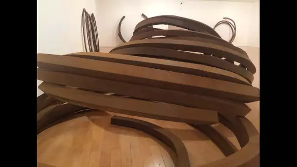 Bernar venet au MAC de Lyon