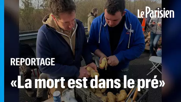 « On veut vivre dignement de notre métier » : avec les agriculteurs qui bloquent l’A1