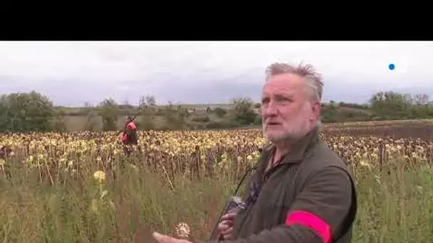 Sarthe : ouverture de la chasse à Vallon-sur-Gée