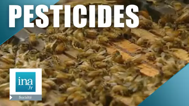 Les abeilles menacées par un insecticide : le gaucho | Archive INA