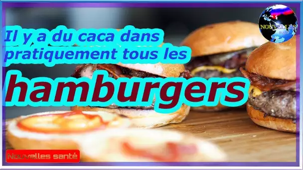 Il y a du caca dans pratiquement tous les hamburgers|Nouvelles24h