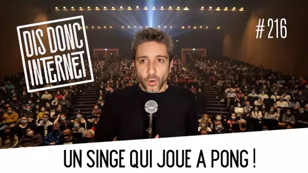 Une puce dans ton cerveau et un singe qui joue à Pong. // VERINO - Dis Donc Internet #216