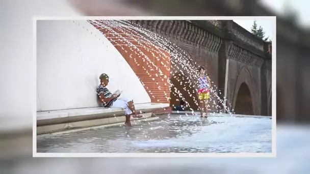 ✅  Météo : 2019, record de chaleur et d’instabilité à Toulouse