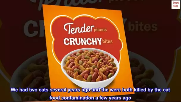 Friskies Dry Cat Food, Tenders and Crunchy Combo, Flavors of Chicken, Beef, Carrots and Green Beans