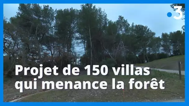 Fuveau : un projet de construction de 150 villas menace la forêt