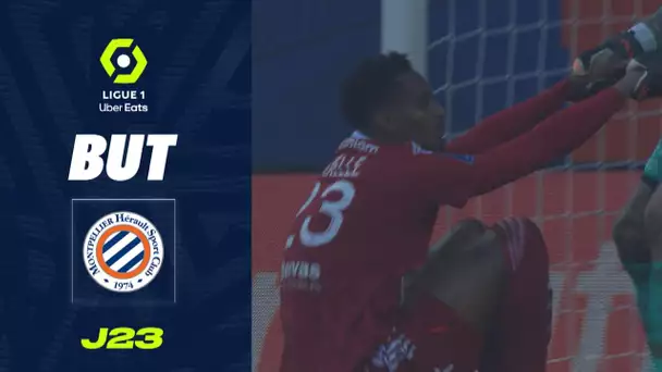 But Christophe HERELLE (4' csc - MHSC) MONTPELLIER HÉRAULT SC - STADE BRESTOIS 29 (3-0) 22/23