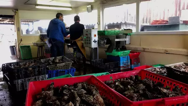 "Tous les chemins mènent à vous" à Gujan-Mestras en Gironde