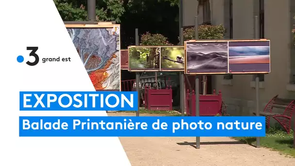 La Balade Printanière du festival de la photo animalière et de nature de Montier-en-Der