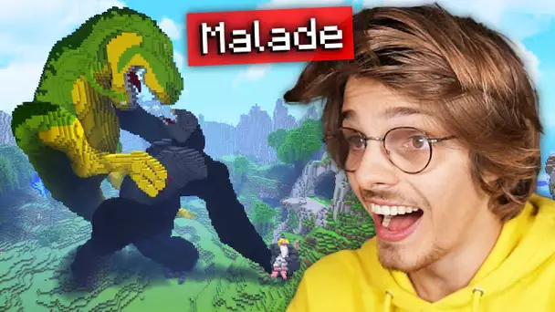 Les joueurs de Minecraft sont MALADES ! (je vous montre)