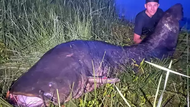 Gard : un "poisson monstrueux" de 2,62 m, un silure pêché dans le Rhône vers Beaucaire