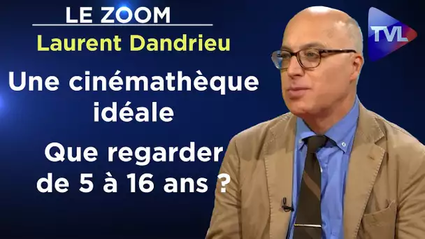 Dessins animés et films en famille : ne regardez que le meilleur ! - Zoom - Laurent Dandrieu - TVL